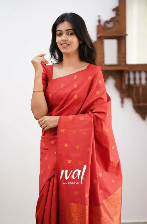 Woven_Kanjivaram_Jacquard_Banarasi_Silk_Saree