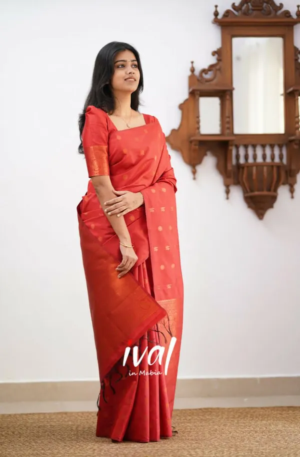 Woven_Kanjivaram_Jacquard_Banarasi_Silk_Saree