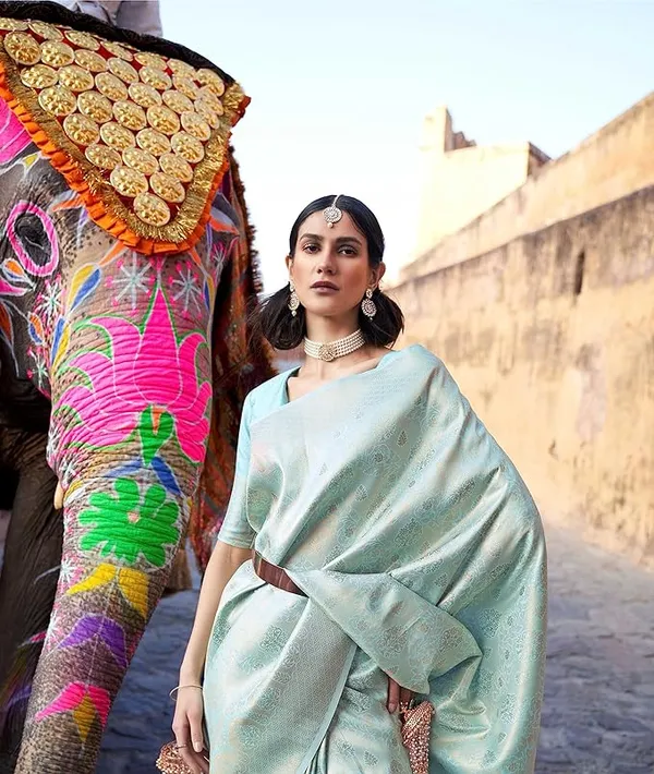 Woven_Kanjivaram_Jacquard_Banarasi_Silk_Saree