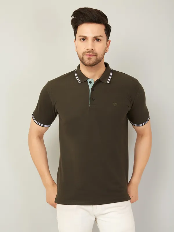 We_Perfect_Solid_Men_Polo_Neck_Green_T-Shirt