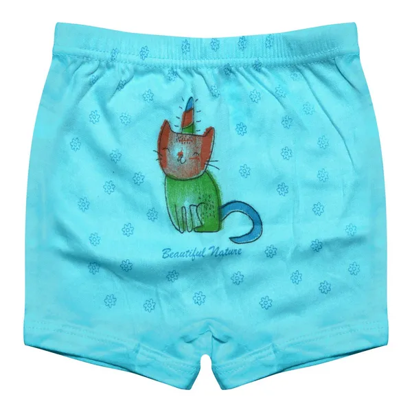 Multicolor_Girls_Cotton_Brief_Panty_Innerwear_-_Pack_Of_12_Pc