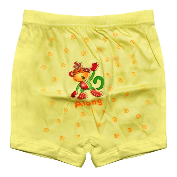 Multicolor_Girls_Cotton_Brief_Panty_Innerwear_-_Pack_Of_12_Pc