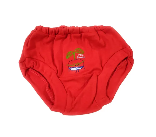 Multicolor_Kids_Cotton_Drawer_-_Pack_Of_6