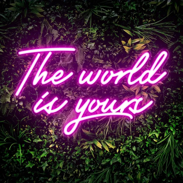 Pink_World_Is_Yours_Sign_Lights_18X10_Inch
