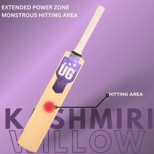 Imported_Purple_Premium_Kashmiri_Willow_Edition_FULL_Size_(34-35_inch)_Cricket_Bat