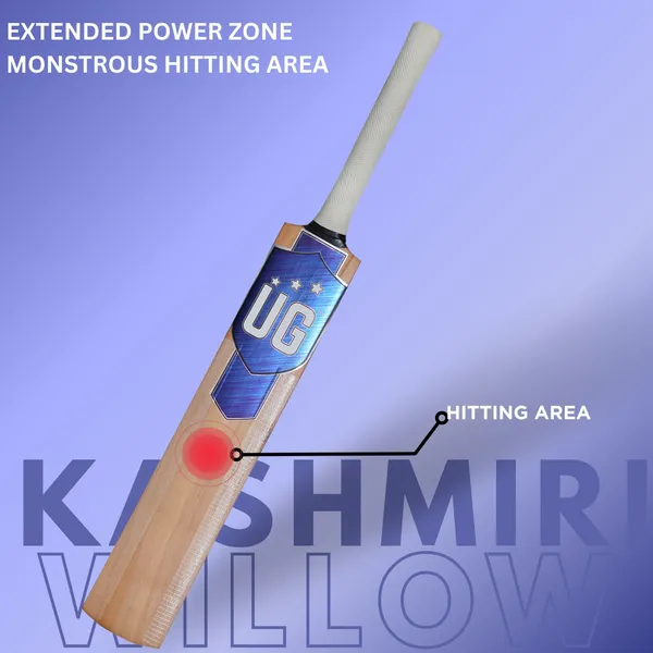 Imported_Blue_Premium_Kashmiri_Willow_Edition_FULL_Size_(34-35_inch)_Cricket_Bat