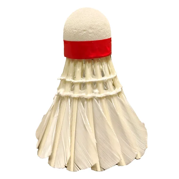 White_Feather_Badminton_Shuttlecock_Durable_(Pack_of_1,_10_Piece_in_a_Box)