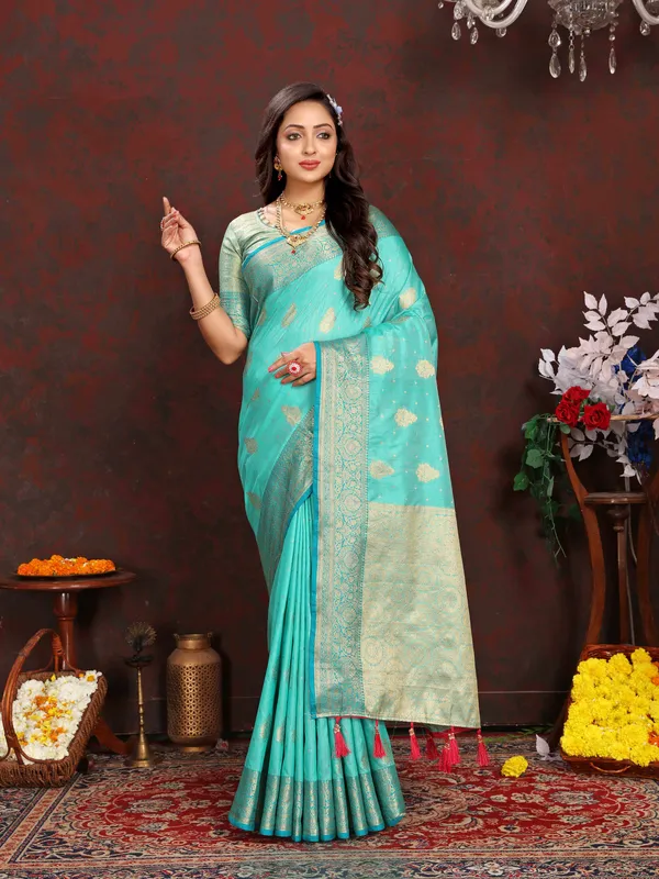 Sky_Blue_Soft_Organza_Silk_With_Meenakari_Weaving_Design_Pallu_Saree