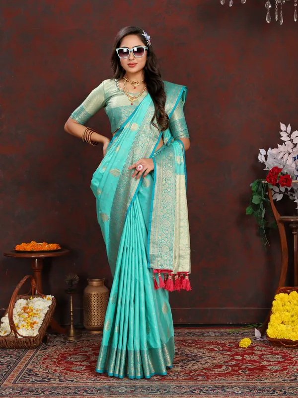 Sky_Blue_Soft_Organza_Silk_With_Meenakari_Weaving_Design_Pallu_Saree