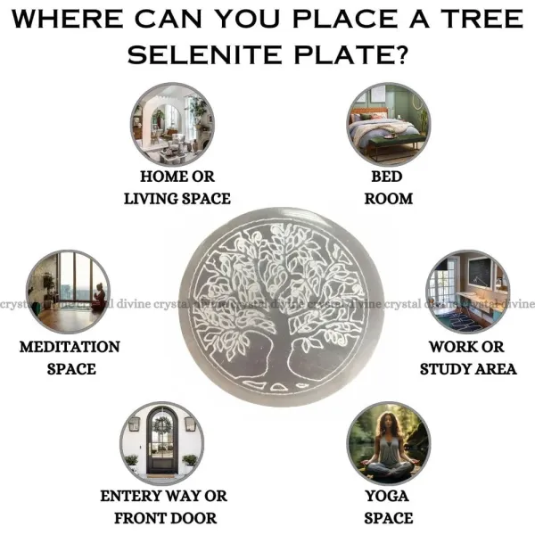 Selenite_Premium_Plate_For_Positive_Energy