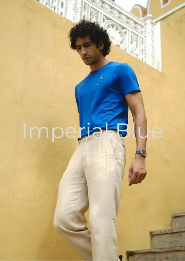 Imperial_Blue_Cotton_Blend_Solid_Round_Neck_Half_Sleeve_T-Shirt_For_Men