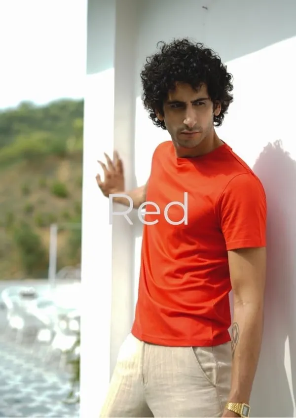 Red_Cotton_Blend_Solid_Round_Neck_Half_Sleeve_T-Shirt_For_Men