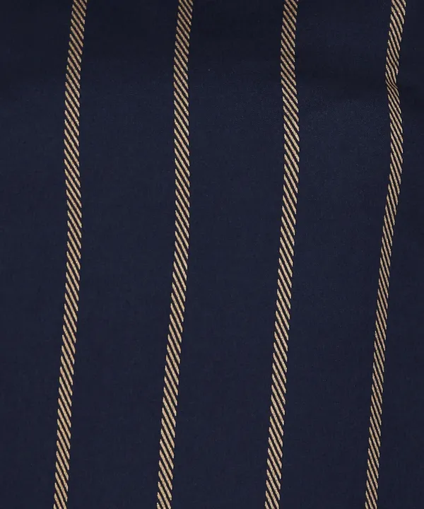Blue_Striped_Viscose_Rayonsleeveless_Kurta_Pant_Set_For_Women