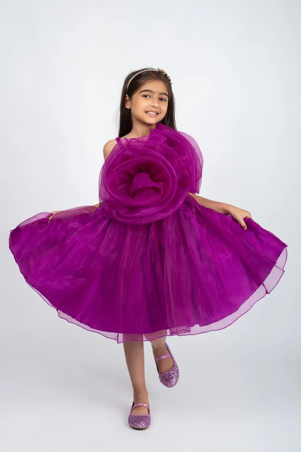 Wine_Premium_Quality_Dress_For_Kids_Girls
