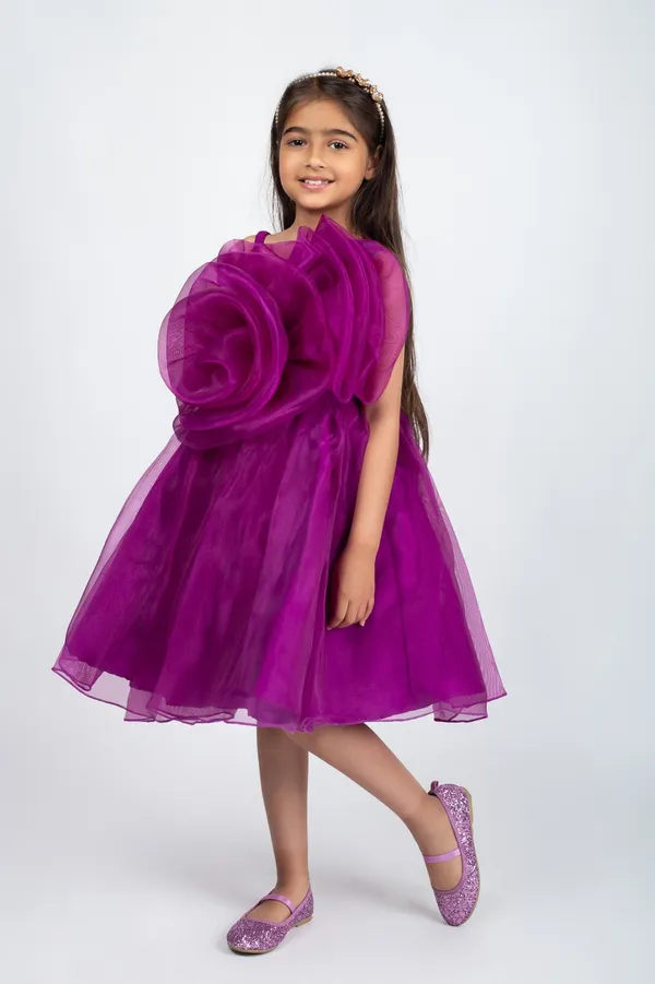 Wine_Premium_Quality_Dress_For_Kids_Girls
