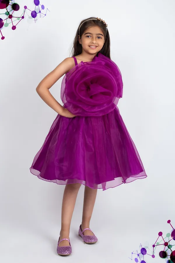 Wine_Premium_Quality_Dress_For_Kids_Girls