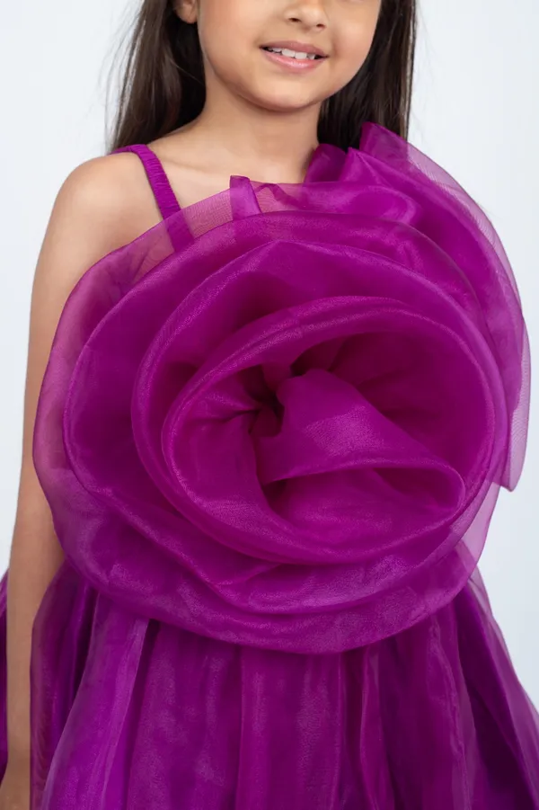 Wine_Premium_Quality_Dress_For_Kids_Girls