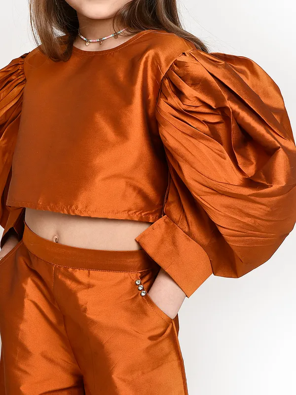Jelly_Jones_Bronze_Puffed_Sleeves_Cord_Set