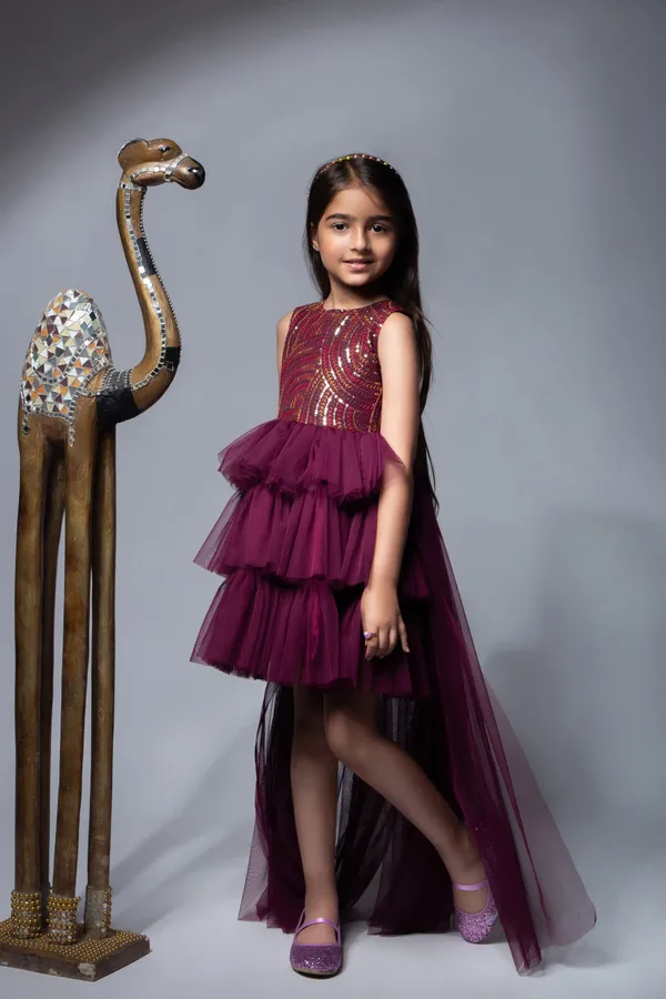 Wine_Premium_Quality_Dress_For_Kids_Girls
