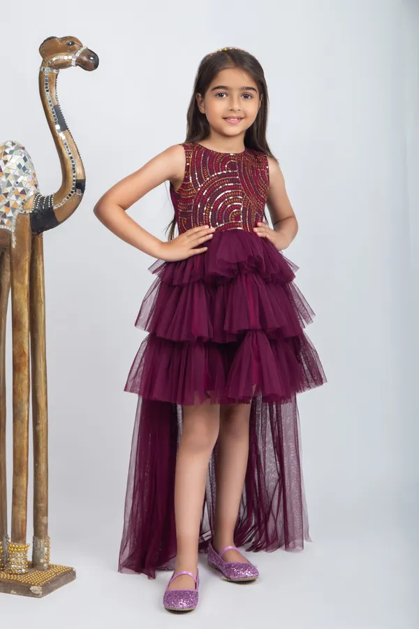 Wine_Premium_Quality_Dress_For_Kids_Girls