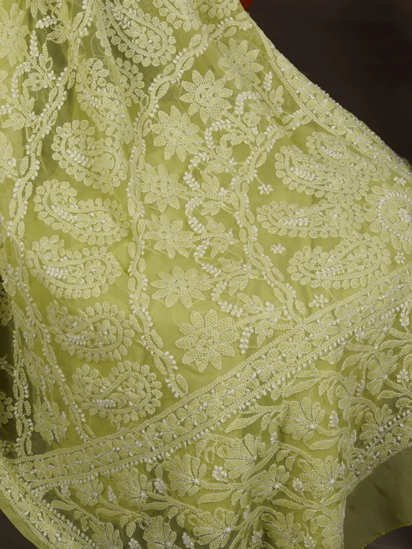 Niraloka_Hand_Embroidered_Green_Georgette_Lucknow_Chikan_Saree_With_Blouse_NF5009