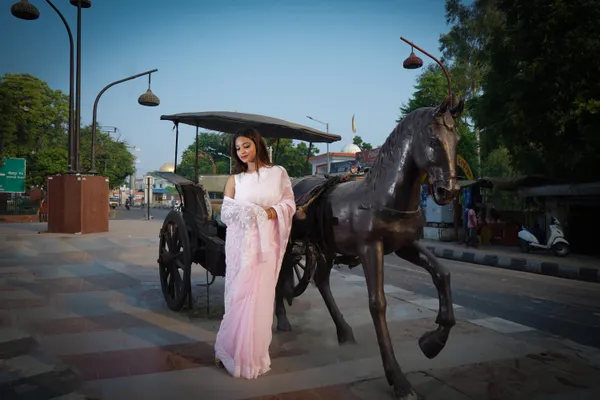 Niraloka_Hand_Embroidered_Pink_Georgette_Lucknow_Chikan_Saree_With_Blouse_NF5005