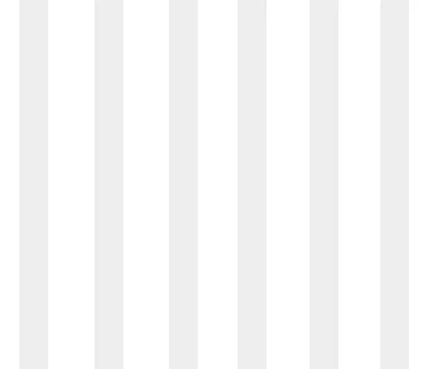 White_Cotton_Plain_Stripe_Two_Single_Bedsheets_With-Two_Pillow_Covers_Hotels(63*100_Inches)(Pack_Of_2,)