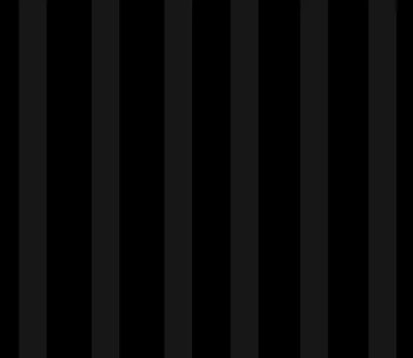 Black__Cotton_Plain_Stripe_Single_Bedsheet_With_One_Pillow_Cover_(Pack_Of_1)