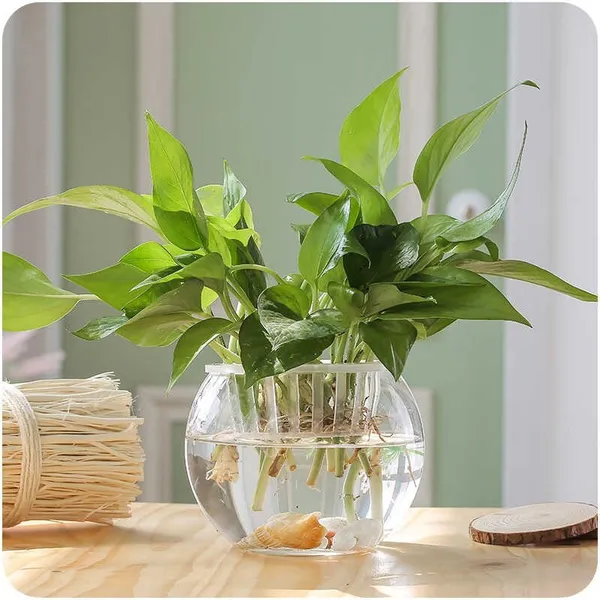Transparent_Table_Mount_Round_End_Aquarium_Tank_(4L)