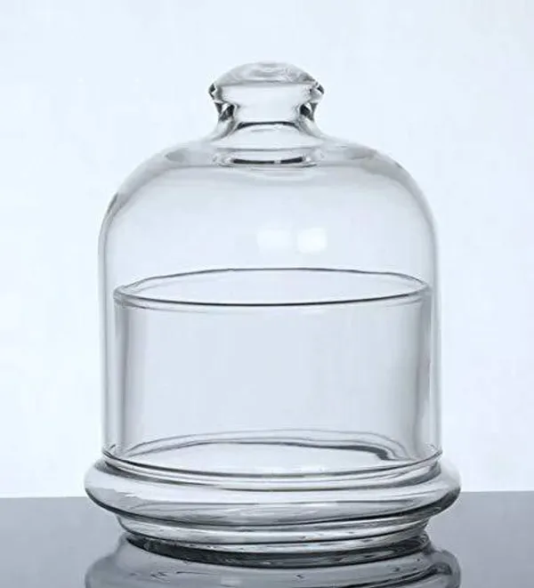 Clear_Glass_Food_Container_With_Dome_Transparent