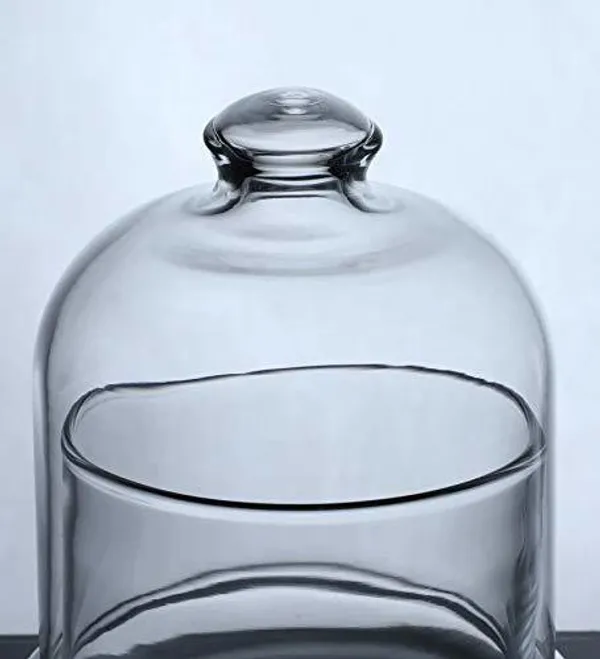 Clear_Glass_Food_Container_With_Dome_Transparent