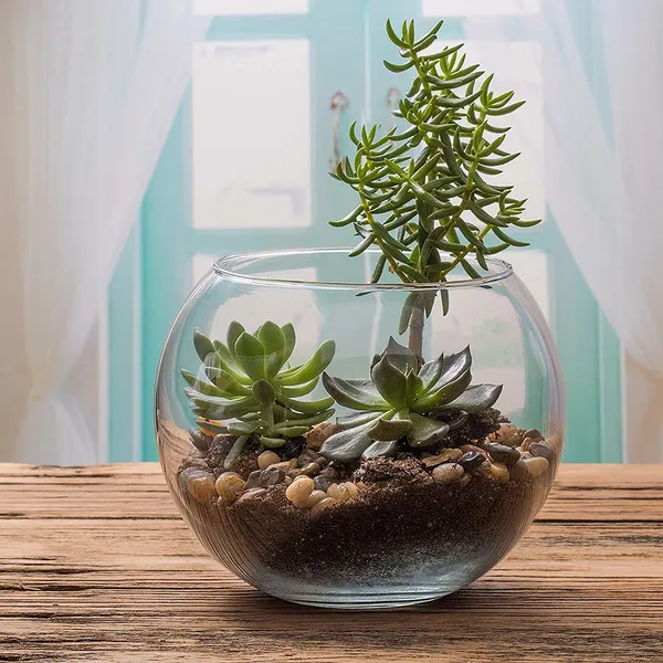 Transparent_Round_Glass_1.5_L_Fish_Bowl
