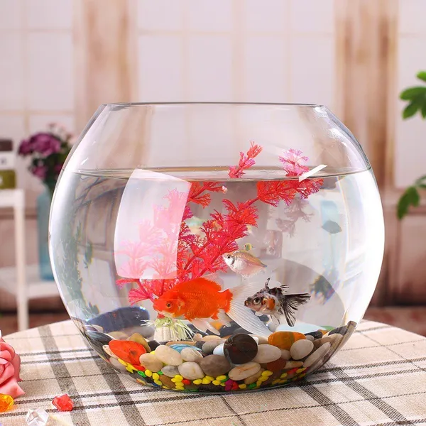 Transparent_Round_Glass_1.5_L_Fish_Bowl