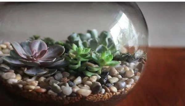 Clear_Pebbles_Glossy_Stones_With_Glass_Bowl_For_Living_Room_Table_Decor_Home_Decorative_Vase_Fillers_Aquarium_Fish_TankGarden_400G