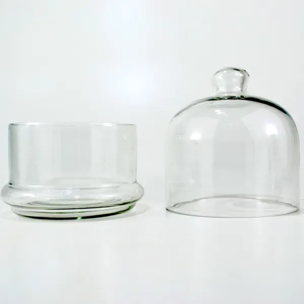 Clear_Round_Shape_Freezer_Safe_Pickle_Container_For_Home_Use