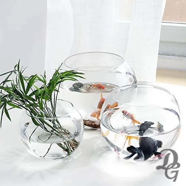 Elegant_Charm_Decorative_Vase_for_Home_&_Office