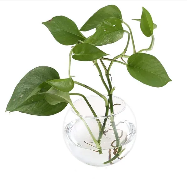 Floor_Decorative_Vase_For_Home_&_Office