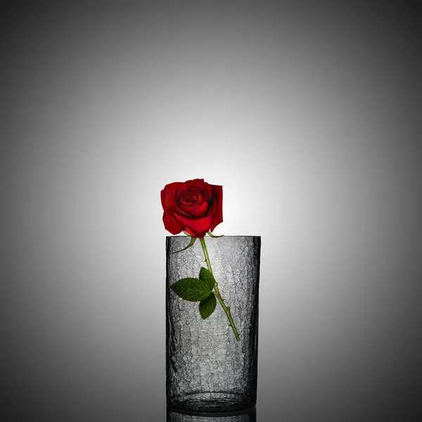 Clear_Floor__Table_Decorative_Vase_For_Home_&_Office