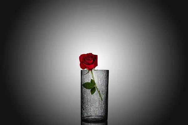 Clear_Floor__Table_Decorative_Vase_For_Home_&_Office