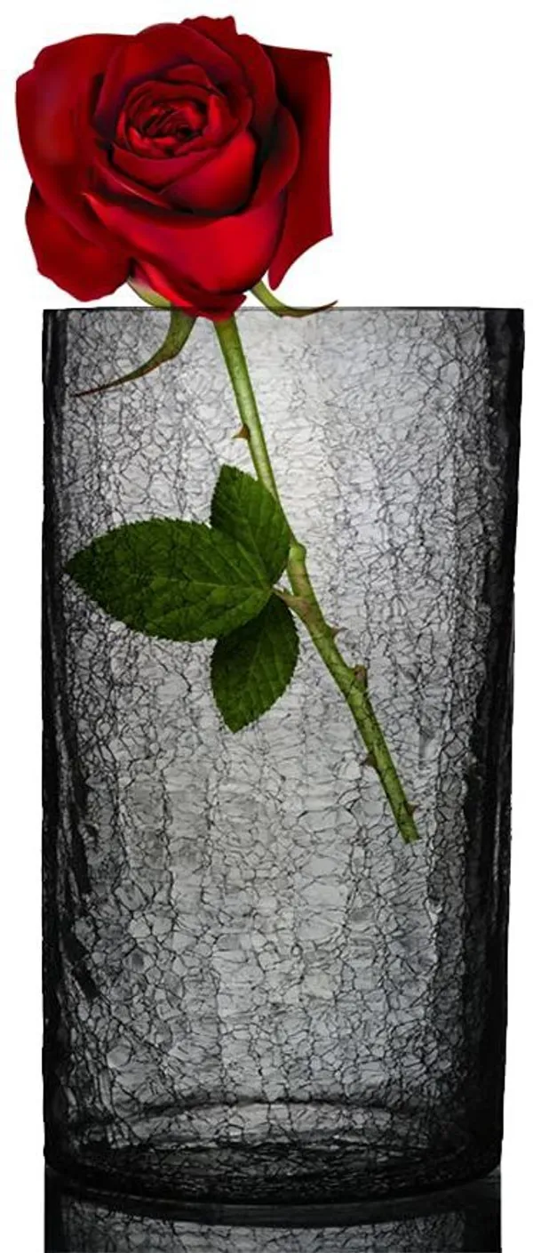Clear_Floor__Table_Decorative_Vase_For_Home_&_Office