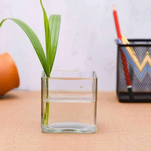 Decorative_Vase_For_Home_&_Office