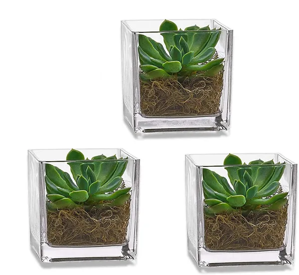 Decorative_Square_Vase_For_Home_&_Office