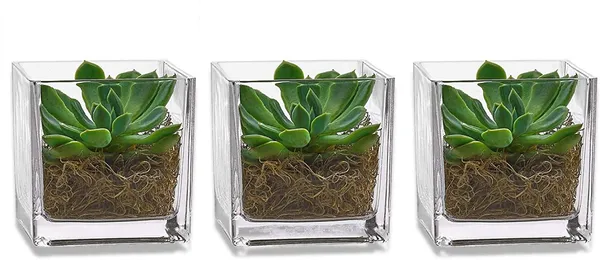 Decorative_Square_Vase_For_Home_&_Office