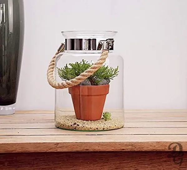 Decorative_Vase_For_Home_&_Office