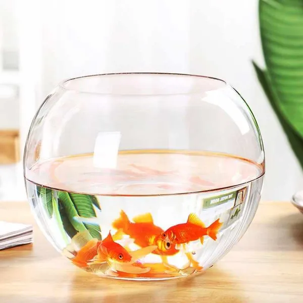 Transparent_Round_Glass_4_L_Fish_Bowl
