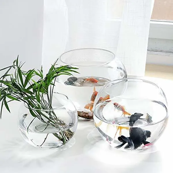 Decorative_Vase_For_Home_&_Office