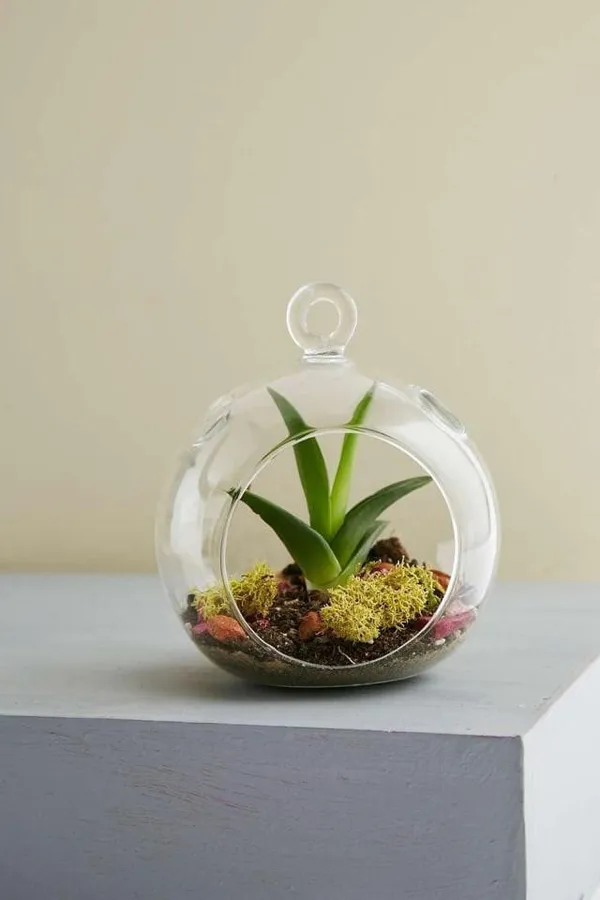 Clear_Glass_Candle_Tealight_Holder_For_Decoration