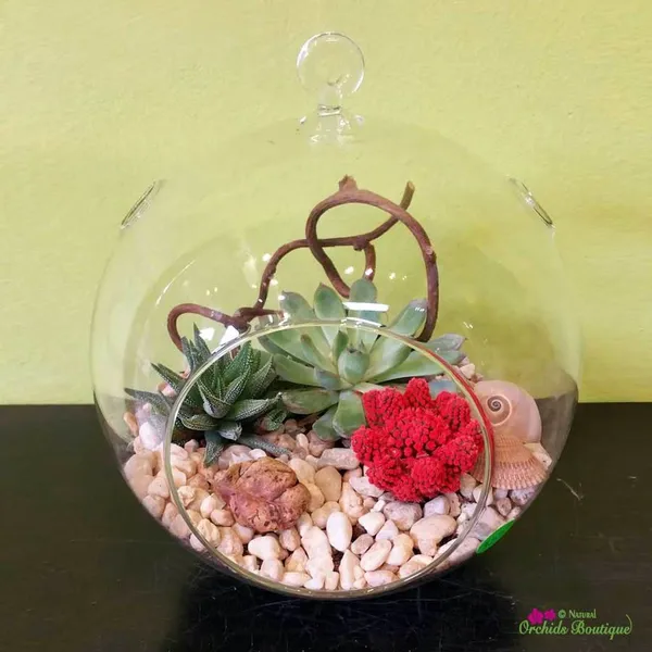 Clear_Glass_Candle_Tealight_Holder_For_Decoration