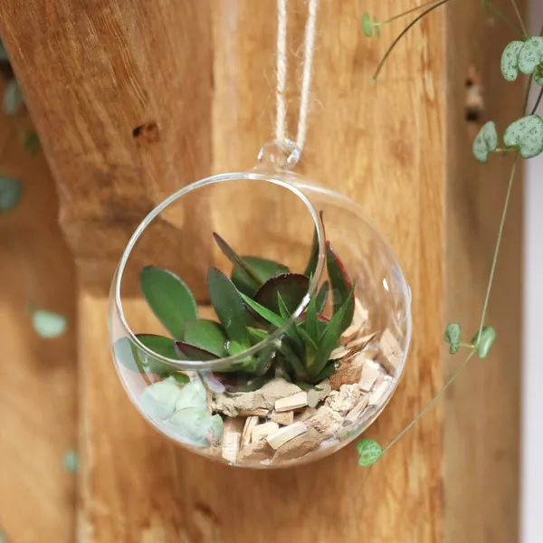 Clear_Glass_Candle_Tealight_Holder_For_Decoration