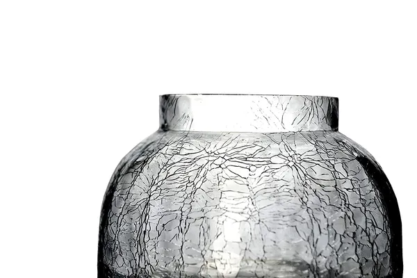 Decorative_Vase_For_Home_&_Office